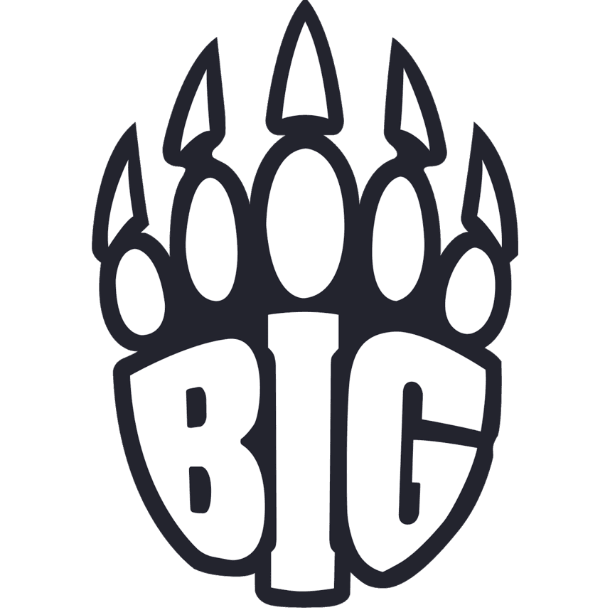 BIG logo