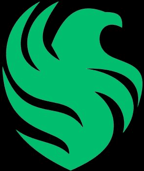 Team Falcons logo