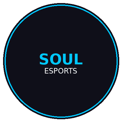 Team Soul logo