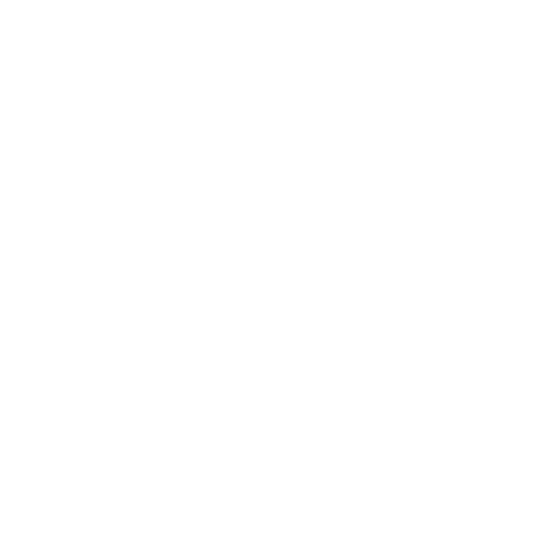 ZETA DIVISION logo
